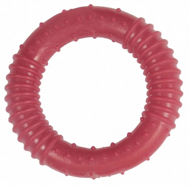 Accessories orgo DOG DOG CHEW TOYS ( Purple, Orange, Pink )