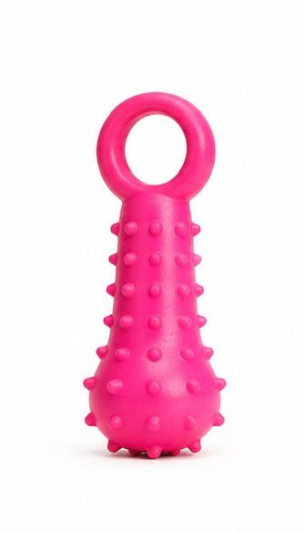 Accessories orgo DOG DOG CHEW TOYS ( Purple, Orange, Pink )