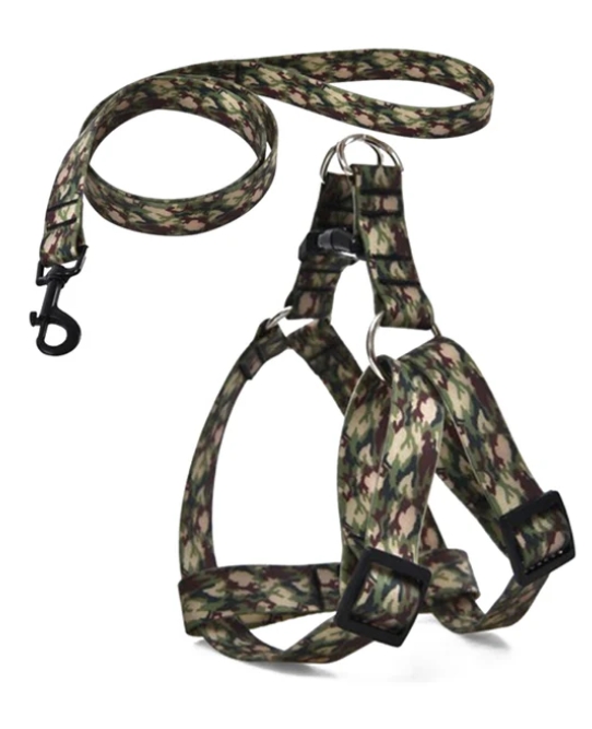 Naomi - Dog Harnees & Leash - L